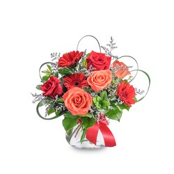 Scarlet Flame from Monrovia Floral in Monrovia, CA